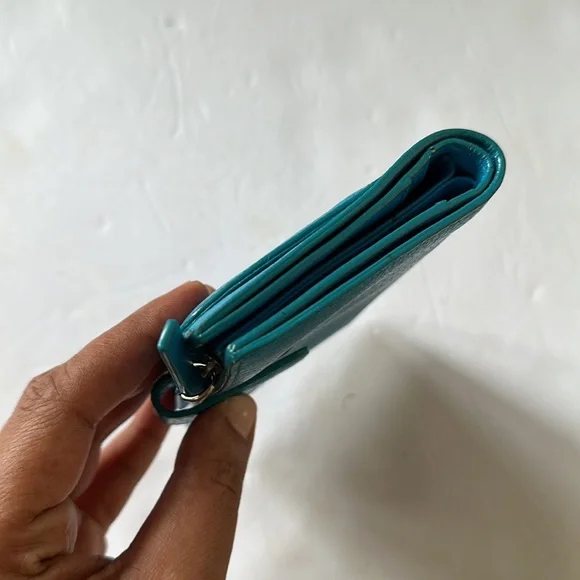 Lodi’s wallet - Picture 12 of 12